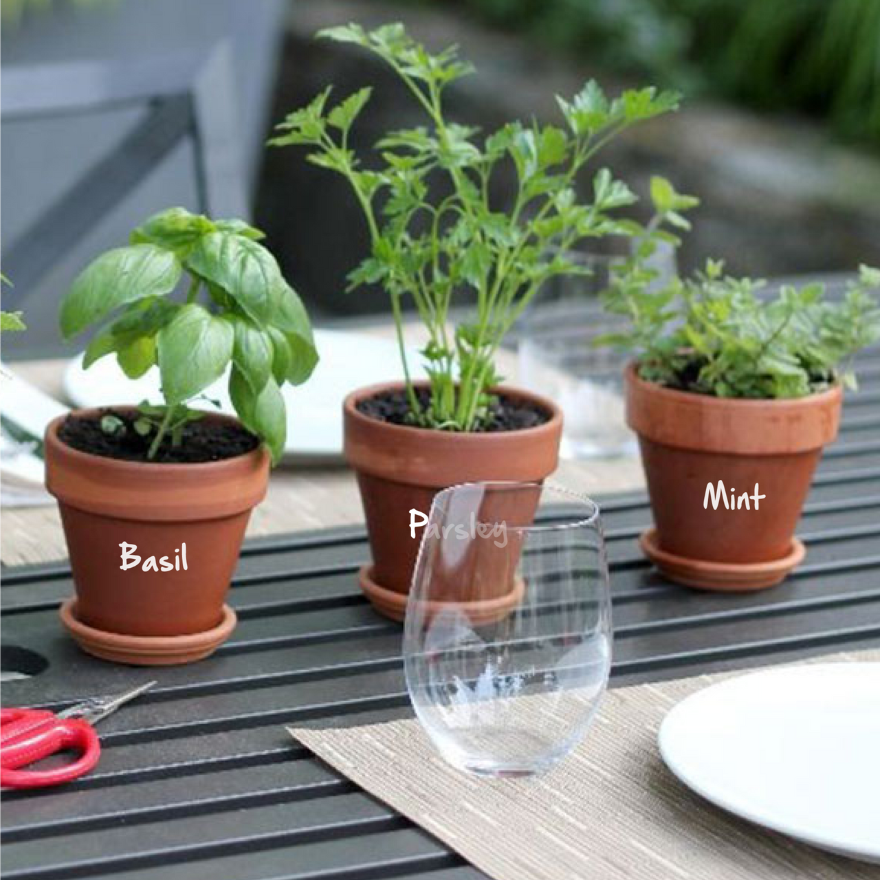 Garden Herb Pot Decals - Type 2
