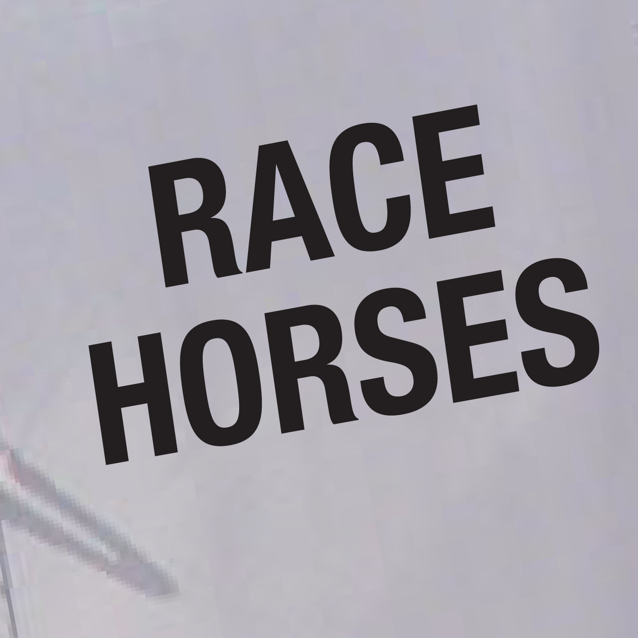 Set of 2 'Race Horses' - Horsebox Decals