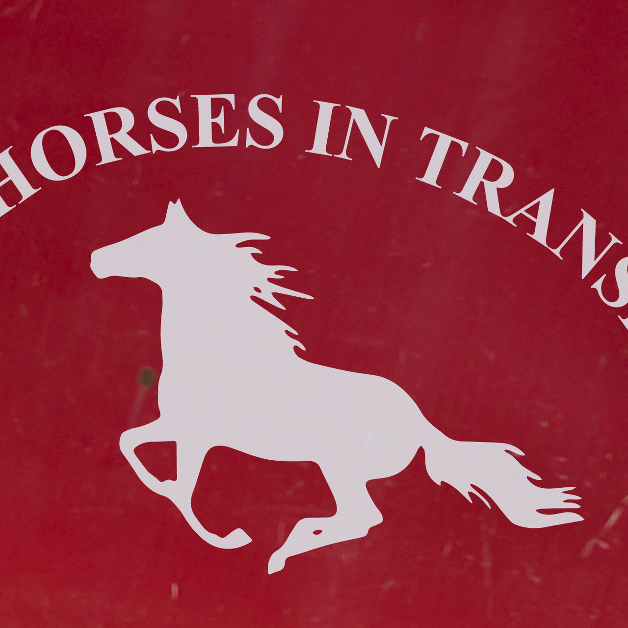 Horses in Transit - Horsebox Decal (Type 1)