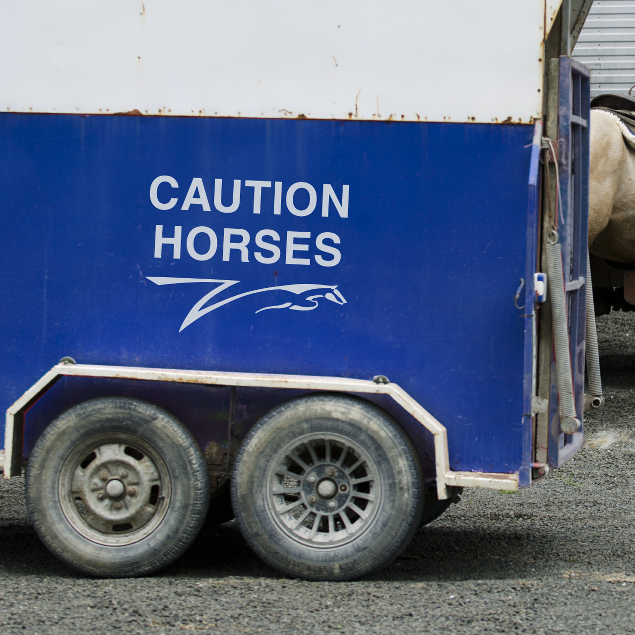 Caution Horses - Horsebox Decal