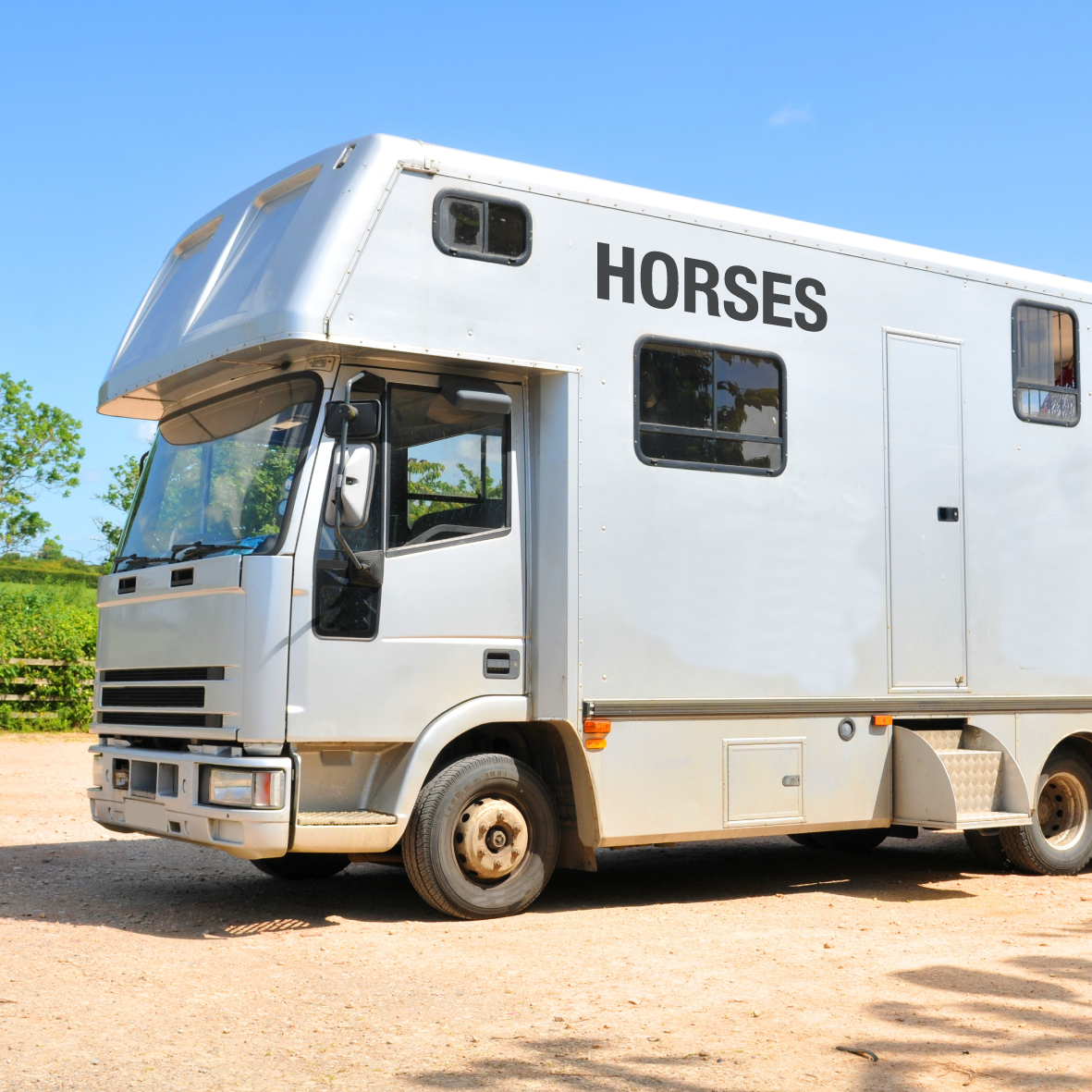Set of 2 'HORSES' - Horsebox Decals