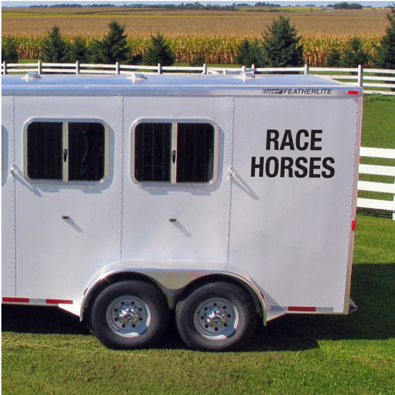 Set of 2 'Race Horses' - Horsebox Decals